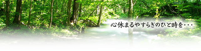 �F���s�̑��V�A�����͂₷�炬��قɂ��C����������