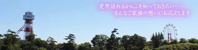 �F���s�̑��V�A�����͂₷�炬��قɂ��C��������